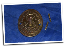 SINGER 115 BADGE FOR SEWING MACHINE WITH PINS